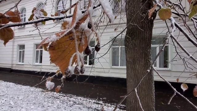 Beautiful snow, foggy Russia, morning walk in Stavropol 18th November 2020