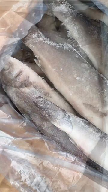 Морепродукты, рыба, икра, креветки: оптом и в розницу с доставкой до двери!