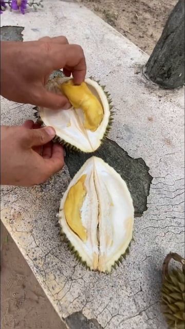 Durian Puangmanee unpacking #phuket #durian #durianlovers