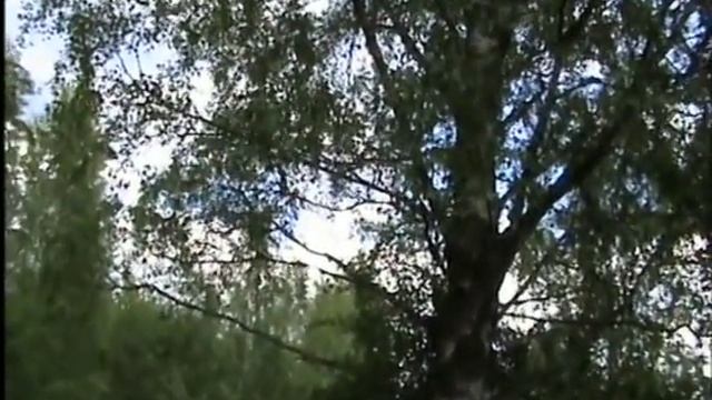 Хрустальные кусочки. Часть 1.