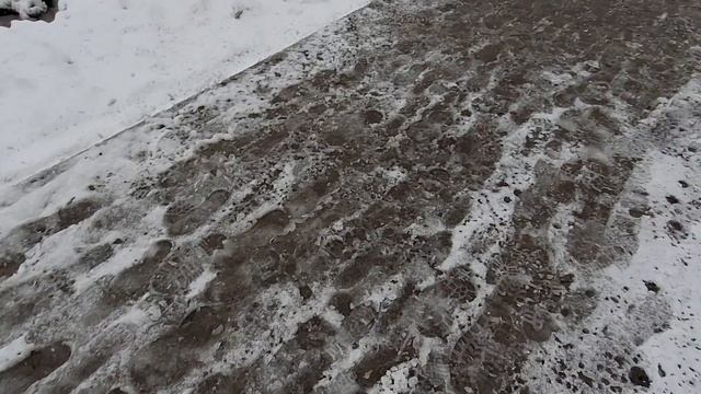17.04.25.Апрельская зима пришла к нам.