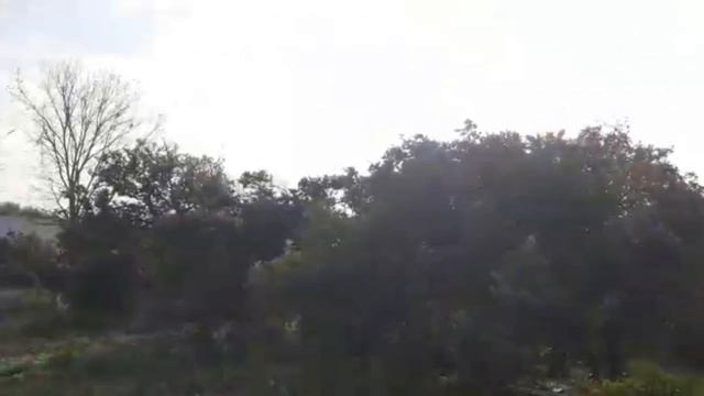 Manki sharif /orange farms/ 100 acres of land covered by orange farms