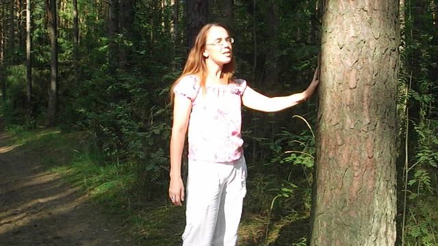 Капизова Ольга Каниповна. И. Бунин "Детство"