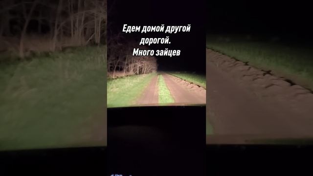 ЕДЕМ К ТЕЩЕ В ГОСТИ НОЧЬЮ ПО КУБАНСКИМ ПОЛЯМ, ГОРОДСКИМ НЕ ПОНЯТЬ!  #жизньвдеревне #кубань #russian