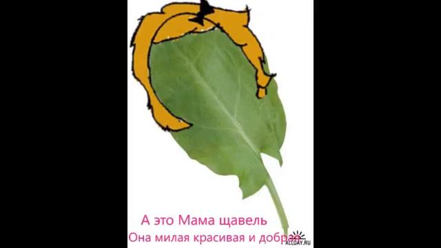 Tag My family #Тег Моя семья Mr  Щавель