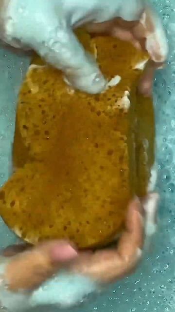 clamshell sponge 🤎💙