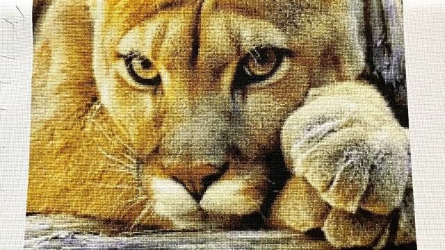 Взгляд пумы - отшив схемы Химеры