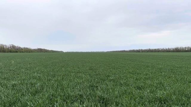 Гром 24.4.24
