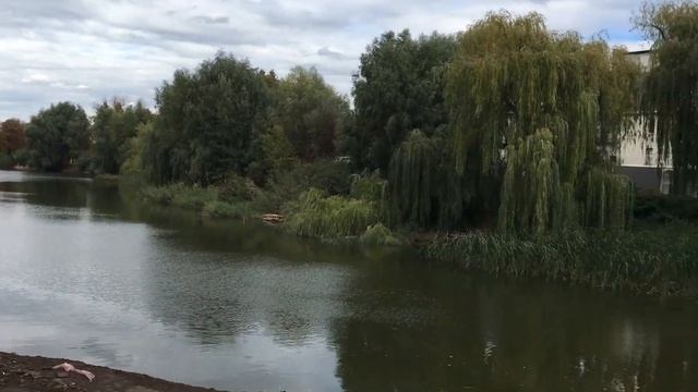 Село Новоселки, Киево-Святошинский район, Киев, Теремки