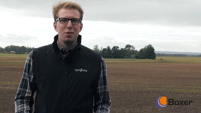 Syngenta - Boxer - Raps