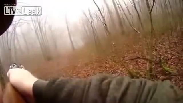 Кабан проучил охотника!
