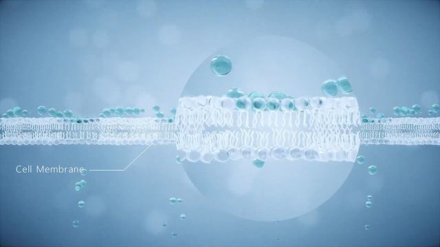Meso Infinity Principle+Treatment