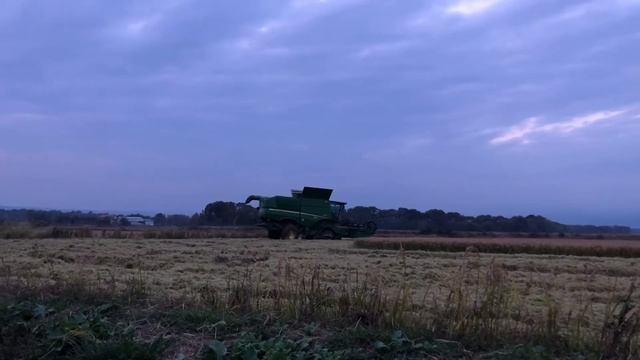 Mietitura riso 2019 - ultimi giorni in apprensione per il maltempo.