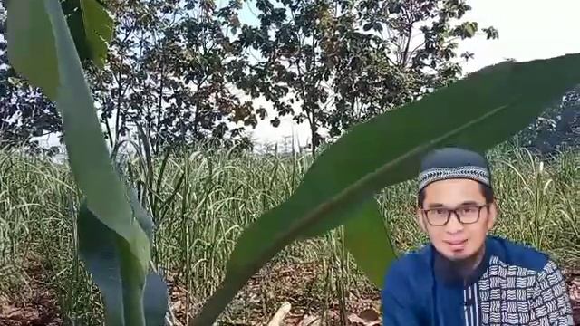 Solusi agar kita bisa mengatasi masalah dalam hidup ll ustadz Adi hidayat Lc