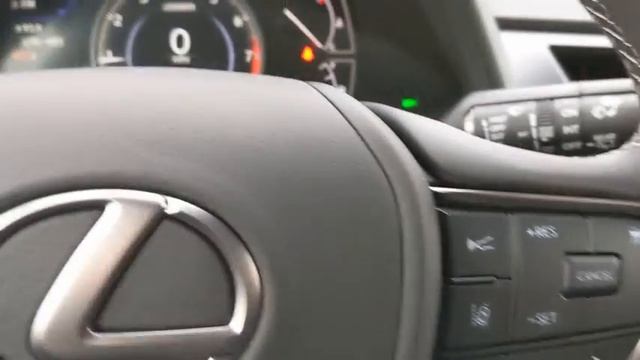 2021 Lexus UX Naperville, Aurora, Joliet, Downers Grove, Bolingbrook, IL 210341