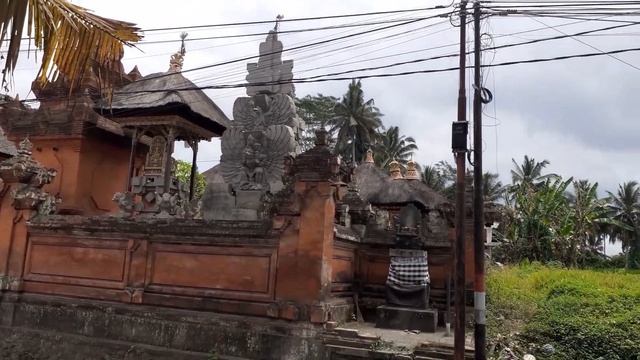 Темпл и рисовые поля  Bali