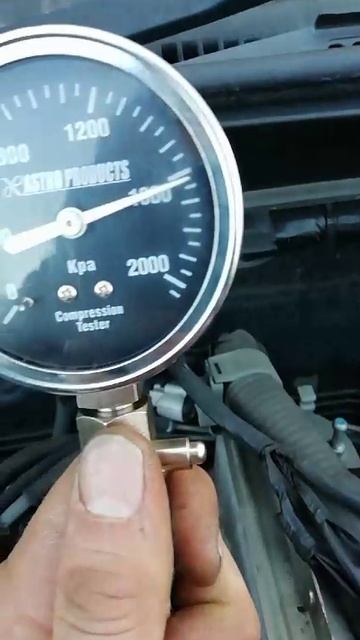 VID-20250218-WA0002