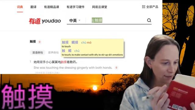Studying Chinese HSK7-9 vocab: 储备 储蓄 触动 触犯 触觉 触摸 触目惊心 揣 [Chinese subtitles]