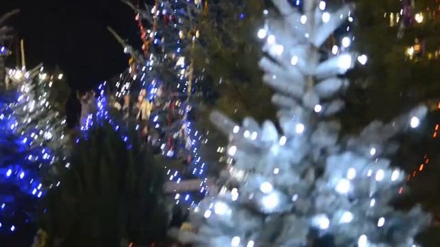 20с. з Козацького острова.