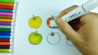 TOMATO COLORS! Yellow, Green, Blue
