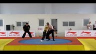 aplicación de chen taichi en Jiaozuo competición China, Shen Yi Valencia