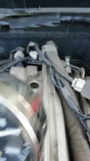 VID-20250218-WA0004