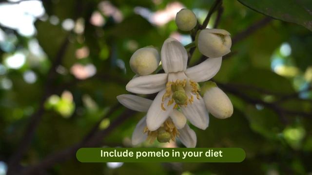 Boost Your Digestive Health with Pomelo: The Ultimate Citrus Superfood