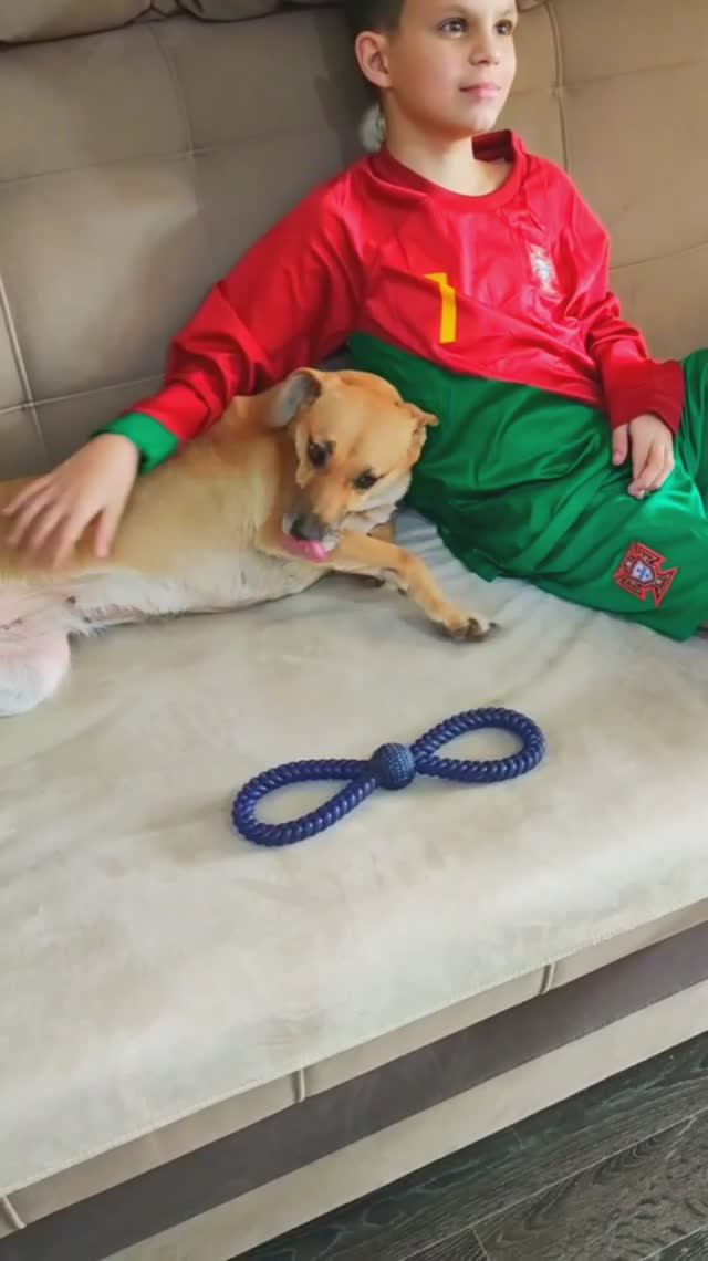 Ласкуша Сильва ищет семью❤️ 12кг, рост ниже колена!
