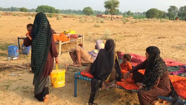 Camle People living in Desert and Their Morning Routine | Women Village Life Pakistan in Hot Summer