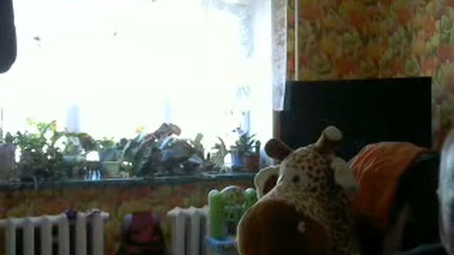 урлыкым, родо тукымым огыт шотло
