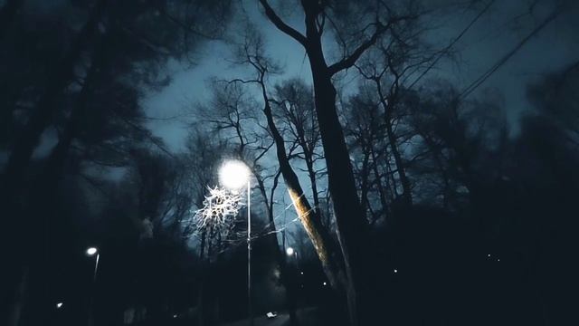 VID 20240424 231408 Летняя моя матроска...(Рафаэль Альберти)...Павел Васильев Лахтинский