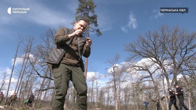 Сосну та дуб краще висаджувати вручну: на Черкащині садять ліс