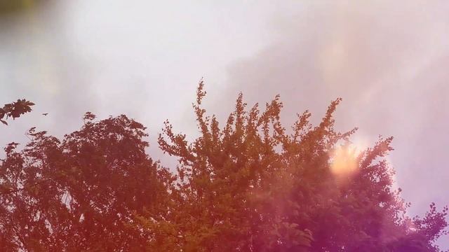 I'm On Fire Bruce Springsteen (cover)