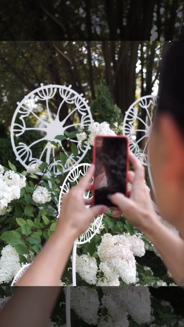 Шпалеры одуванчик