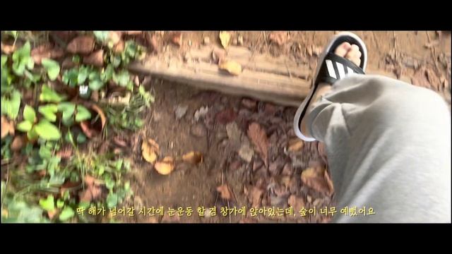 Q.요즘 뭐하시나요? A. 공부해요