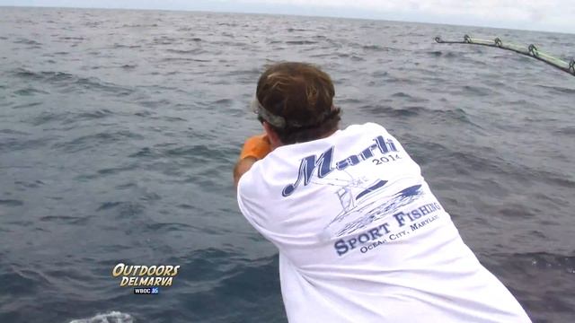 2014 White Marlin Open Part 1