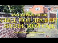 Краткий обзор зимнего сада. Пол дразнит Лилли. Что на обед. №541 Жизнь в Англии