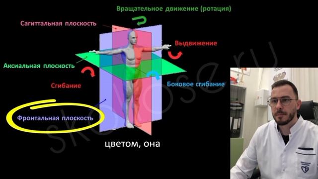 Плоскости в анатомии человека❗🤔