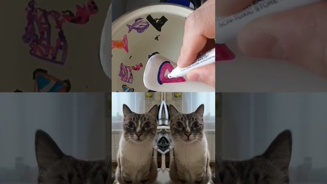 #shorts Нужно ли чистить зубы кошкам? #котикмой