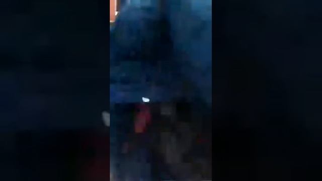 Трансляция с мероприятия лобня 2016