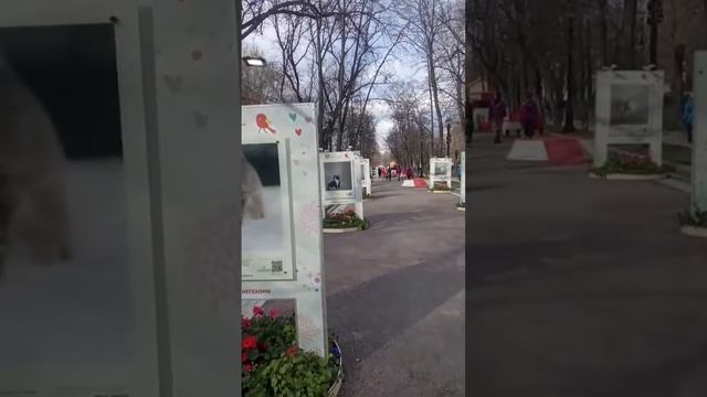 Возьми животного из приюта 😼