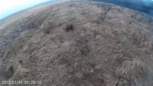 охота на куропатку с дратхаром