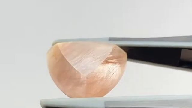 amphibole in quartz 8