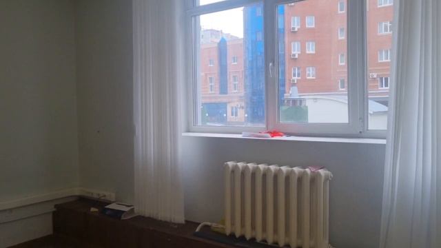 газеты звезда