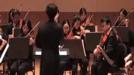 Simple Symphony for String Orchestra - Benjamin Britten