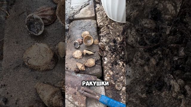 Реанимация Бенджамина