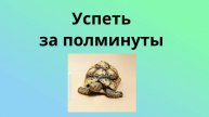 Успеть за полминуты
