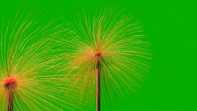 Flower model in blender 2.8