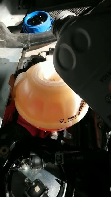 Rellenar anticongelante G13 - Motor en frío