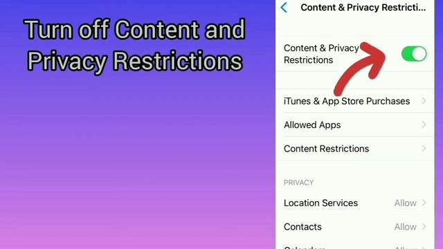 How to fix SIRI not working on iPhone